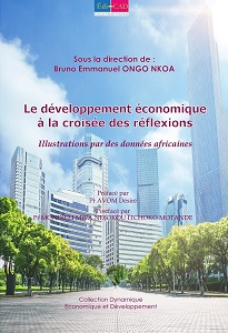    Le développement économique à la croisée des réflexions. Illustrations par des données africaines  